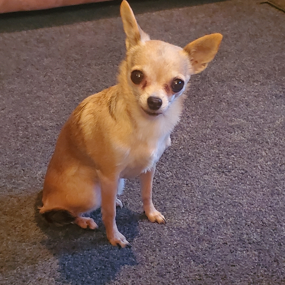 Meet your Posher, Valerie